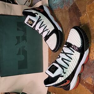 Nike. Lebron XVI SB. Remix. With Original Box. Men's size 14